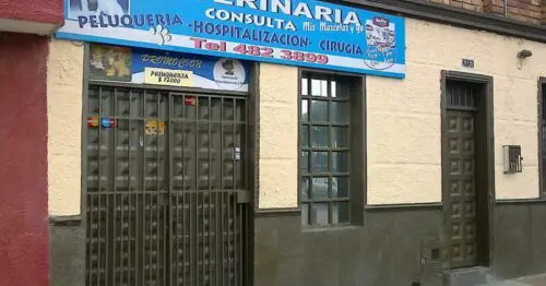 VETERINARIA MIS MASCOTAS Y YO VETERINARIA MIS MASCOTAS Y YO